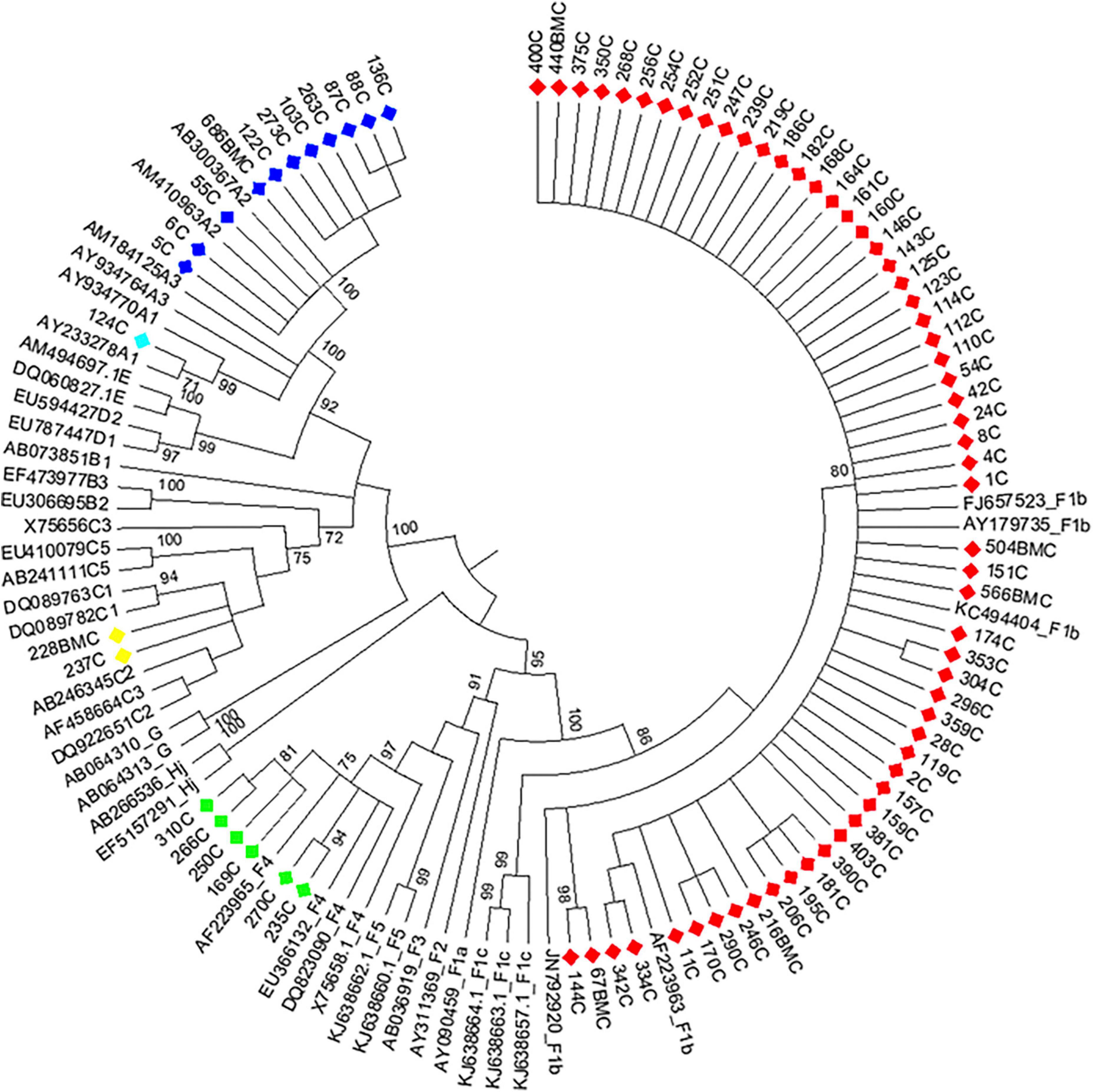 Acute and chronic HBV infection in central Argentina: High frequency of sub-genotype F1b, low detection of clinically relevant mutations and first evidence of HDV